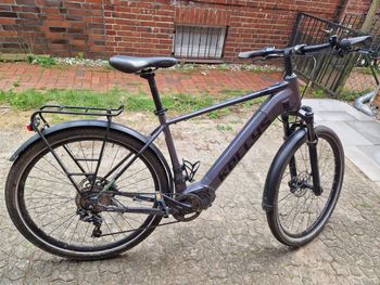 Used Kellys CARSON 70 2022 2022 Urban, Light Gray — image 2 of 12