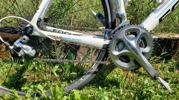 Gebrauchtes Focus Cayo Evo 2012 Road & Gravel, Weiß — Bild 3 von 13