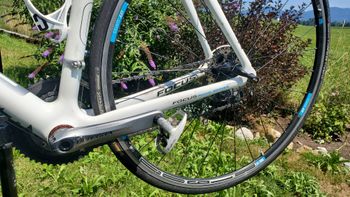 Gebrauchtes Focus Cayo Evo 2012 Road & Gravel, Weiß — Bild 11 von 13