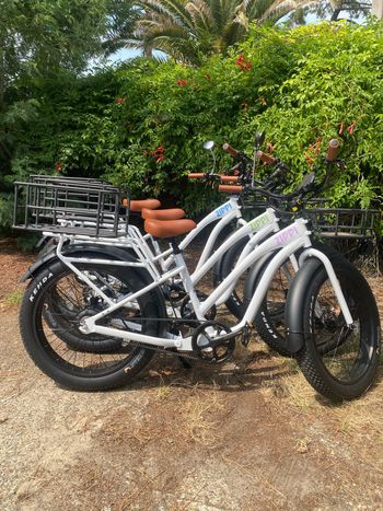 Zippi bikes Custom 2026 Urban & Touring d'occasion