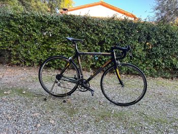 Używany Daccordi Custom Campagnolo Centaur 2014 Road & Gravel