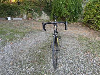 Używany Daccordi Custom Campagnolo Centaur 2014 Road & Gravel — zdjęcie 3 z 5
