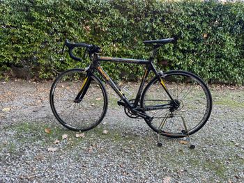 Używany Daccordi Custom Campagnolo Centaur 2014 Road & Gravel — zdjęcie 5 z 5