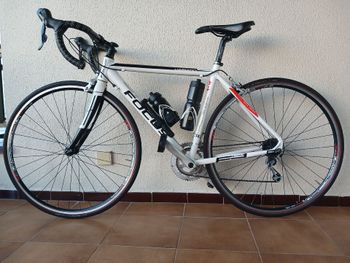 Used Focus Custom Shimano Sora 2012 Road & Gravel, White — image 2 of 5