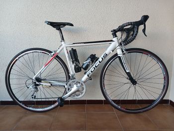 Used Focus Custom Shimano Sora 2012 Road & Gravel