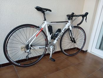 Used Focus Custom Shimano Sora 2012 Road & Gravel, White — image 4 of 5