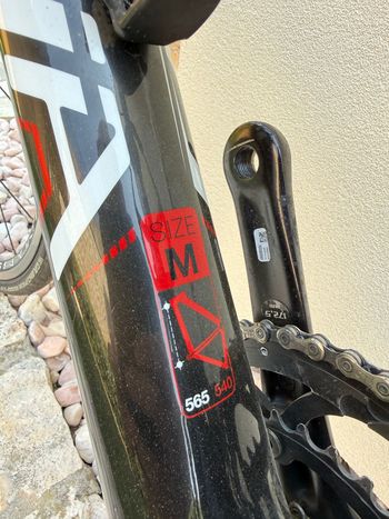 Used Olympia Race 2013 Road & Gravel, Red — image 5 of 6