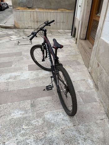 Tweedehands Bottecchia Custom Other Shimano - Mountainbike 2020 Mountainbike — afbeelding 3 van 8