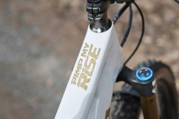 Brugt Orbea RISE M10 2022 2022 Mountainbike — billede 12 af 12