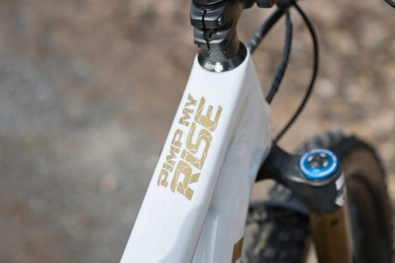 Brugt Orbea RISE M10 2022 2022 Mountainbike — billede 12 af 12