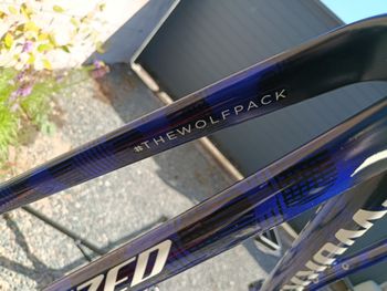 Gebrauchtes Specialized Sworks SL6 TheWolfPack 2019 Frameset 2019 Road & Gravel, Schwarz — Bild 3 von 7