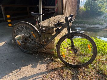 Použité Canyon Roadlite 7 2025 2025 Urban — obrázek 2 z 5