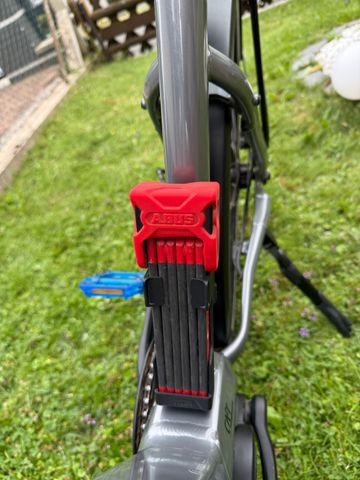 Tweedehands Conway Cairon SUV 3.0 2022 2022 Urban — afbeelding 4 van 12