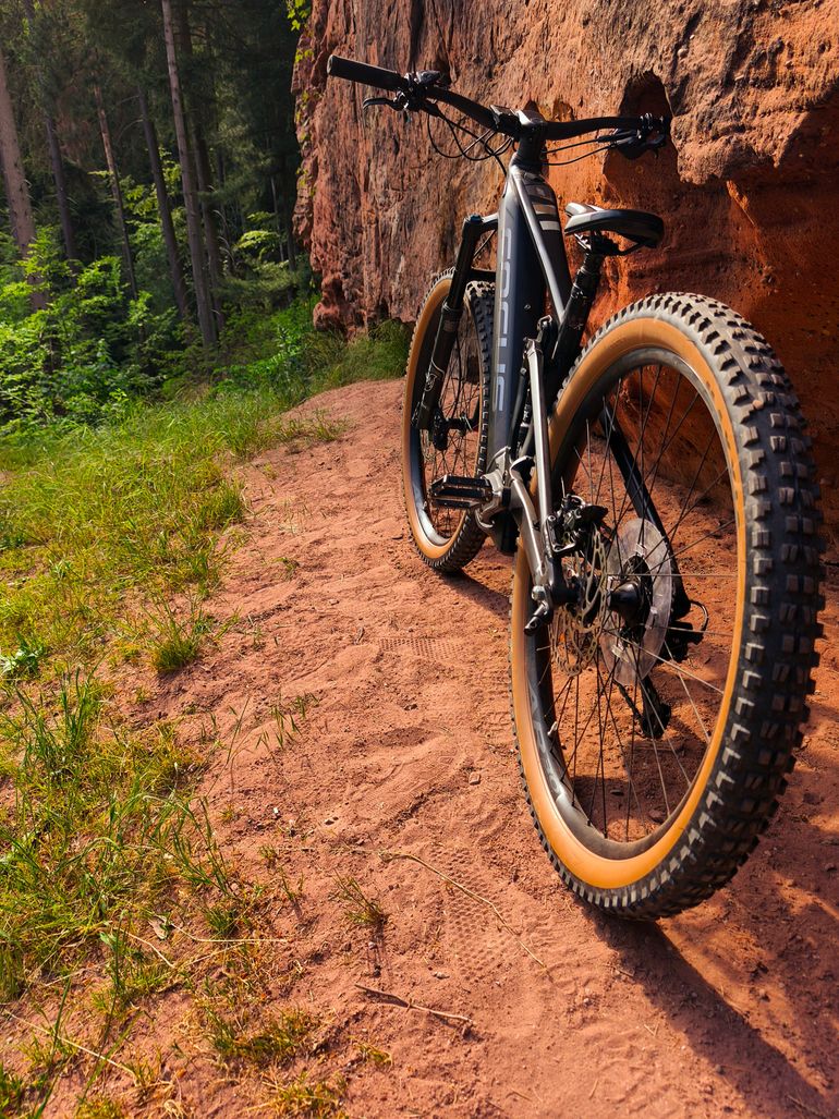 Used Focus SAM² 6.8 2022 2022 Mountainbike, Black, 29 — image 2 of 3
