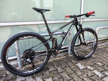 Bottecchia Custom SRAM X01 Eagle 2024 MTB de segunda mano