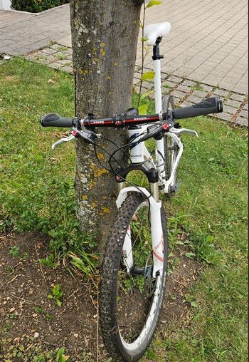 Used Corratec Super Bow 1995 Mountainbike, White — image 2 of 3