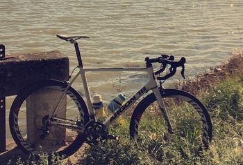 Argon 18 Krypton Shimano Ultegra 2015 Road & Gravel de segunda mano