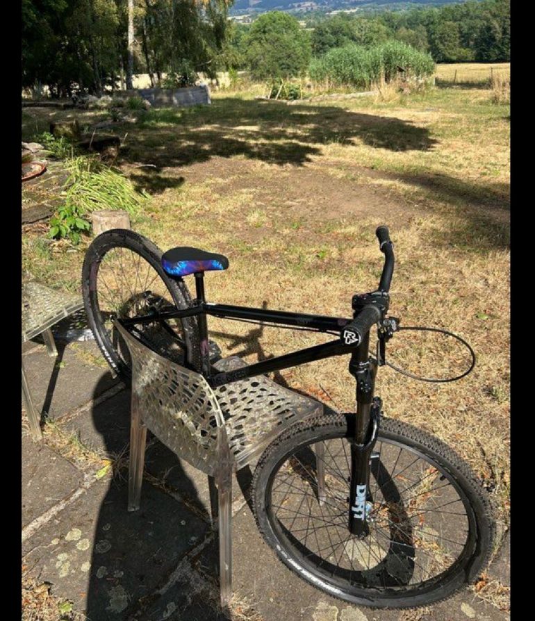 Ns bikes Custom Other 2019 Mountainbike d'occasion — image 10 sur 10