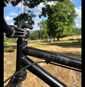 Ns bikes Custom Other 2019 Mountainbike d'occasion — image 5 sur 10