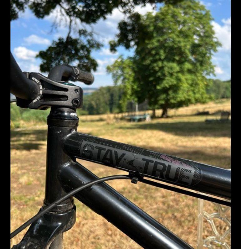 Ns bikes Custom Other 2019 Mountainbike d'occasion — image 5 sur 10