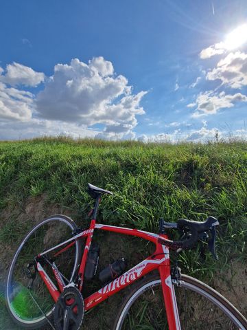Brugt Wilier Gtr team Shimano 105 2019 Road & Gravel — billede 3 af 3