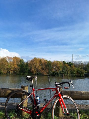 Brugt Wilier Gtr team Shimano 105 2019 Road & Gravel — billede 2 af 3