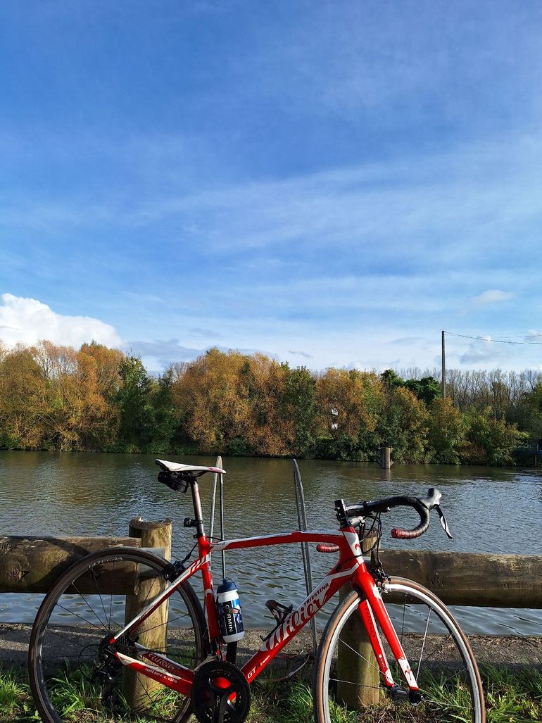 Brugt Wilier Gtr team Shimano 105 2019 Road & Gravel — billede 2 af 3
