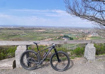 RADON JEALOUS SUPER LIGHT Custom Frameset 2023 MTB de segunda mano