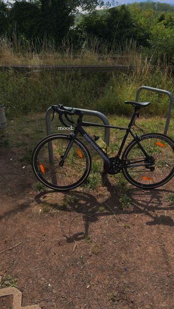 Used Bergsteiger Custom Shimano Tourney 2025 Road & Gravel
