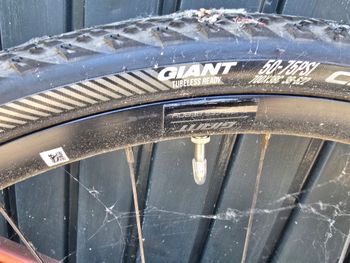 Brugt Giant Revolt Advanced 3 2024 2024 Road & Gravel — billede 2 af 14