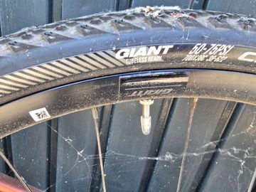 Giant Revolt Advanced 3 2024 2024 Road & Gravel d'occasion — image 2 sur 14