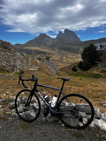 Used Felt FR5 DISC 2019 2019 Road & Gravel