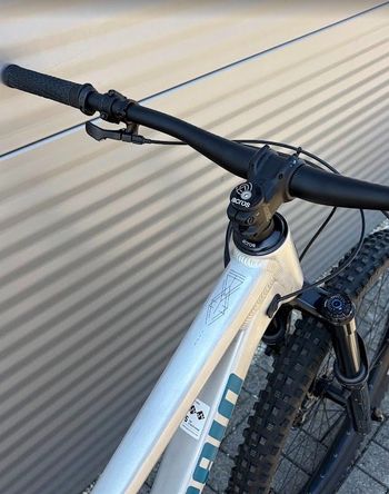 Propain Tyee AL 29 Performance 2023 2023 Mountainbike usato, Grigio chiaro — immagine 11 di 13