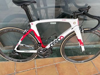 Used Ceepo Mamba 2019 Road & Gravel