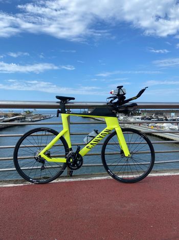 Gebrauchtes Canyon Speedmax CF 7 Disc 2024 2024 Road & Gravel