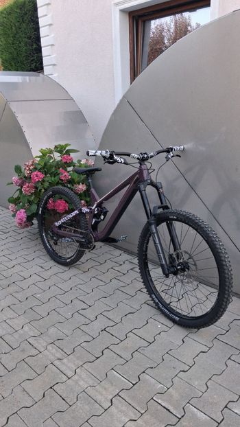 Rose Scrub SC 2024 2024 Mountainbike usato, Nero — immagine 3 di 3