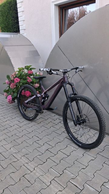 Used Rose Scrub SC 2024 2024 Mountainbike, Black, 27.5 — image 3 of 3