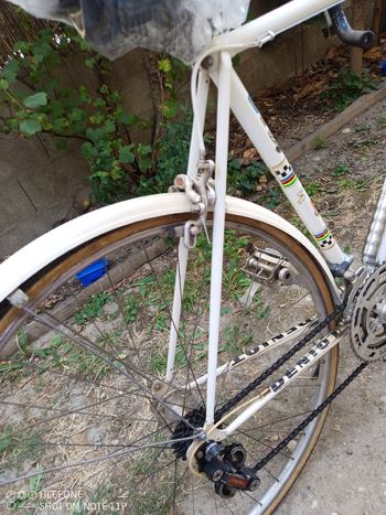 Used Peugeot Px Simplex Vintage 1972 Road & Gravel, White — image 20 of 25