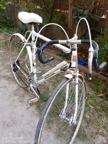 Used Peugeot Px Simplex Vintage 1972 Road & Gravel, White — image 11 of 25