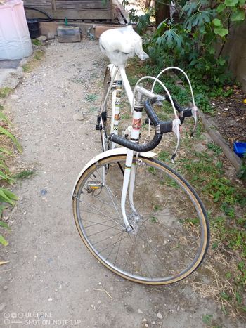 Used Peugeot Px Simplex Vintage 1972 Road & Gravel, White — image 22 of 25