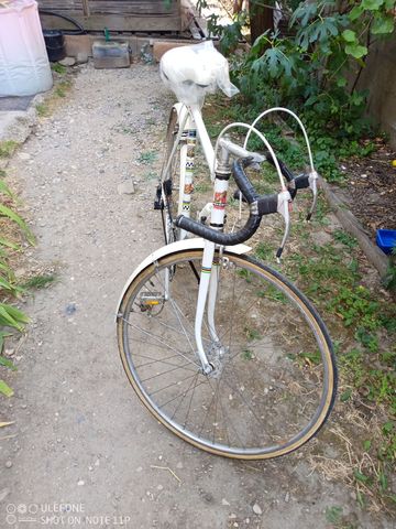Used Peugeot Px Simplex Vintage 1972 Road & Gravel, White — image 22 of 25