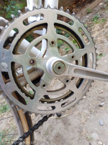 Used Peugeot Px Simplex Vintage 1972 Road & Gravel, White — image 25 of 25