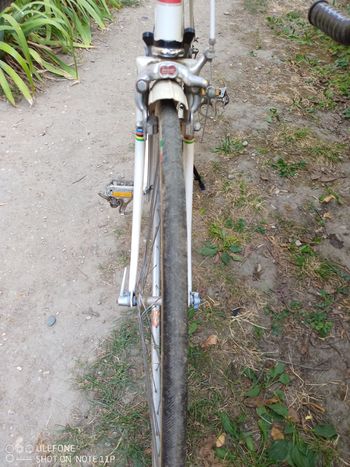 Used Peugeot Px Simplex Vintage 1972 Road & Gravel, White — image 17 of 25