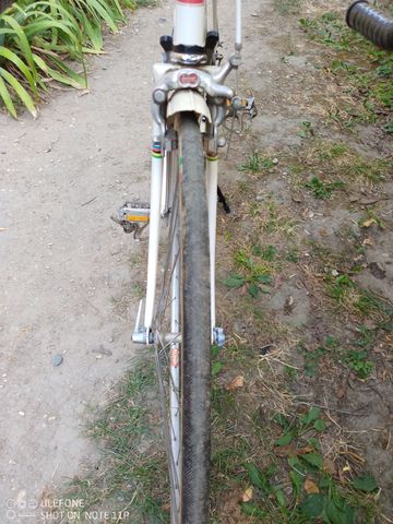Used Peugeot Px Simplex Vintage 1972 Road & Gravel, White — image 17 of 25