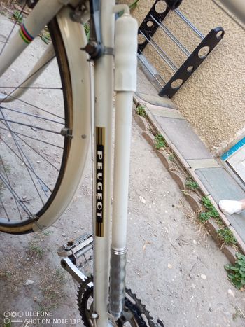 Used Peugeot Px Simplex Vintage 1972 Road & Gravel, White — image 14 of 25