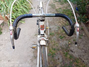 Used Peugeot Px Simplex Vintage 1972 Road & Gravel, White — image 18 of 25