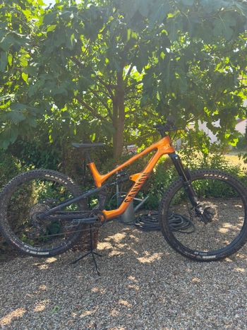 Used Canyon Spectral CF 8 CLLCTV 2025 2025 MTB
