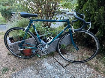 BIANCHI Record Columbus 1990s 1995 Road & Gravel usato