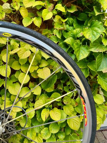 Brugt Presto Colle 2005 Road & Gravel — billede 6 af 7