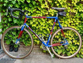 Used Presto Custom Campagnolo Mirage 1994 Road & Gravel, Blue — image 2 of 7